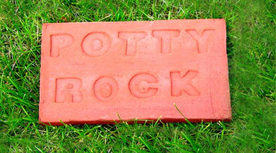 Potty Rock